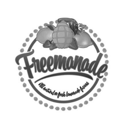 FREEMANADE ALL NATURAL AND FRESH LEMONADE FUSIONS logo