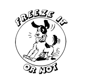 FREEZE IT OR NOT logo