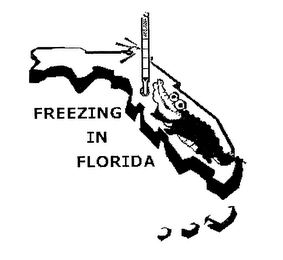FREEZING IN FLORIDA logo