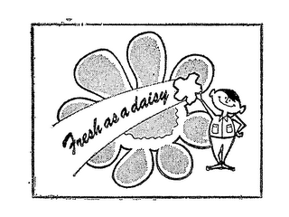 FRESH AS A DAISY logo