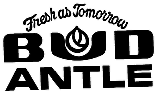 FRESH AS TOMORROW BUD ANTLE