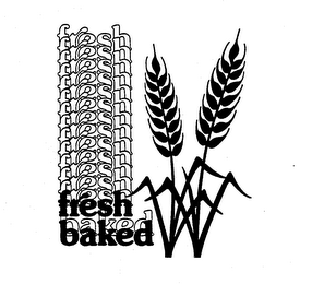 FRESH BAKED logo
