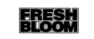 FRESH BLOOM logo
