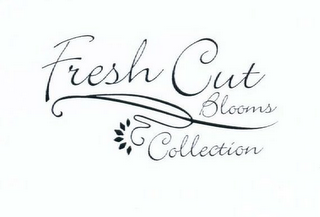 FRESH CUT BLOOMS COLLECTION logo