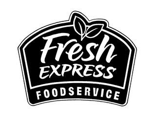 FRESH EXPRESS FOOD SERVICE logo