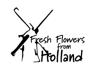 FRESH FLOWERS FROM HOLLAND logo