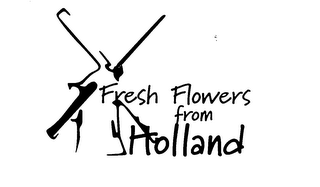 FRESH FLOWERS FROM HOLLAND logo