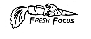FRESH FOCUS logo