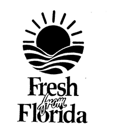 FRESH FROM FLORIDA