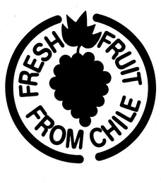 FRESH FRUIT FROM CHILE logo