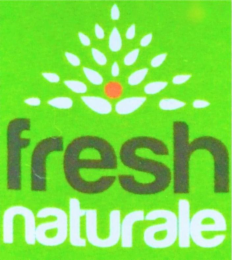 FRESH NATURALE logo
