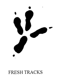 FRESH TRACKS logo