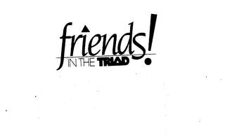 FRIENDS IN THE TRIAD! logo