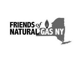 FRIENDS OF NATURAL GAS NY logo
