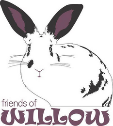 FRIENDS OF WILLOW logo
