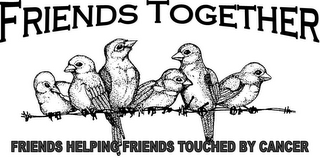FRIENDS TOGETHER, FRIENDS HELPING FRIENDS TOUCHED BY CANCER logo