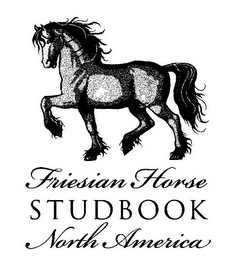 FRIESIAN HORSE STUDBOOK NORTH AMERICA logo