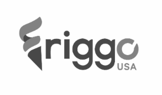 FRIGGO USA logo