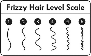 FRIZZY HAIR LEVEL SCALE logo