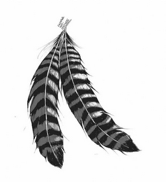 FROHAWK TWO-FEATHERS logo