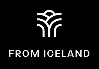 FROM ICELAND logo