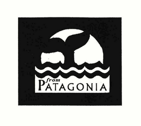 FROM PATAGONIA logo