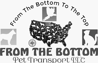 FROM THE BOTTOM TO THE TOP FROM THE BOTTOM PET TRANSPORT LLC logo