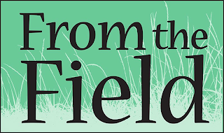 FROM THE FIELD logo
