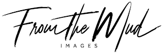 FROM THE MUD IMAGES logo