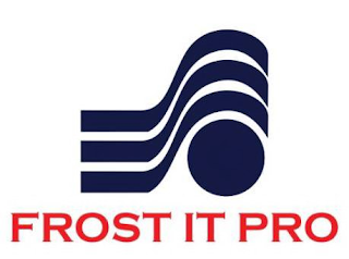 FROST IT PRO logo