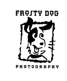 FROSTY DOG PHOTOGRAPHY logo