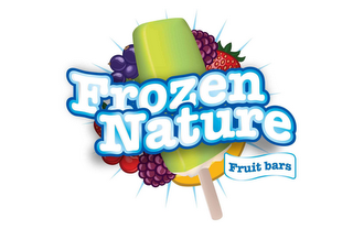 FROZEN NATURE FRUIT BARS logo