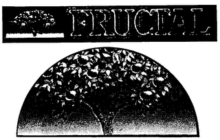 FRUCTAL logo