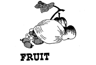 FRUIT logo
