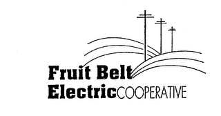 FRUIT BELT ELECTRIC COOPERATIVE