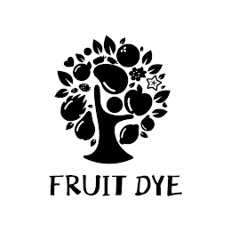 FRUIT DYE logo
