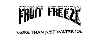 FRUIT FREEZE MORE THAN JUST WATER ICE logo