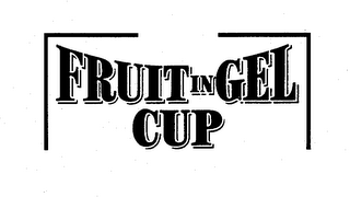 FRUIT IN GEL CUP logo