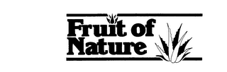 FRUIT OF NATURE logo
