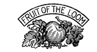 FRUIT OF THE LOOM