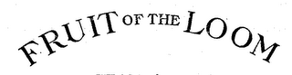 FRUIT OF THE LOOM logo