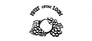 FRUIT OF THE LOOM logo