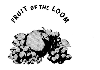 FRUIT OF THE LOOM logo