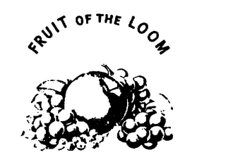 FRUIT OF THE LOOM logo