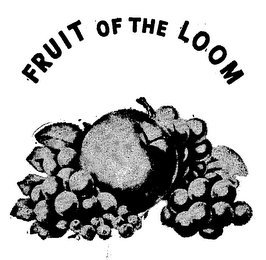 FRUIT OF THE LOOM logo