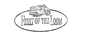 FRUIT OF THE LOOM logo