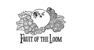 FRUIT OF THE LOOM logo