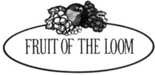 FRUIT OF THE LOOM logo