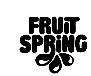 FRUIT SPRING logo