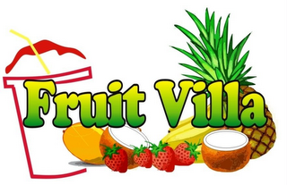 FRUIT VILLA logo